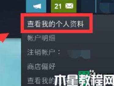 steam怎么隐藏自己在玩什么_steam怎样隐藏自己在玩游戏