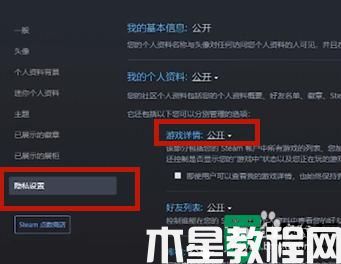 steam怎么隐藏自己在玩什么_steam怎样隐藏自己在玩游戏