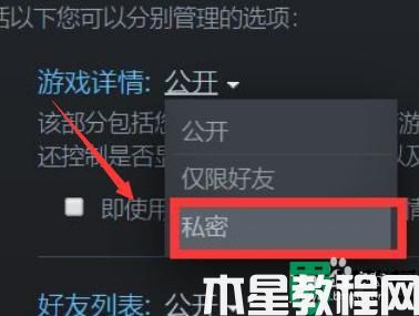 steam怎么隐藏自己在玩什么_steam怎样隐藏自己在玩游戏