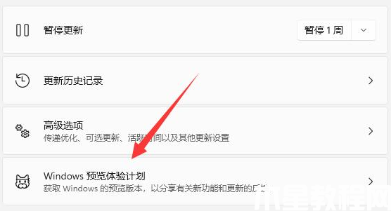 windows11怎么升级正式版系统(图3)