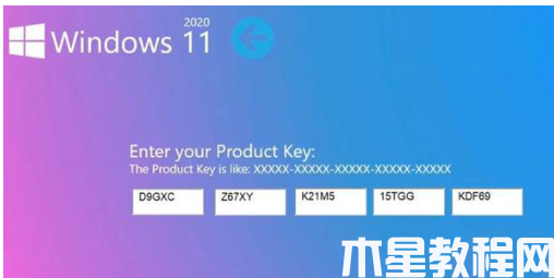 dell笔记本重装系统win11(图4)