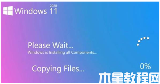 dell笔记本重装系统win11(图9)