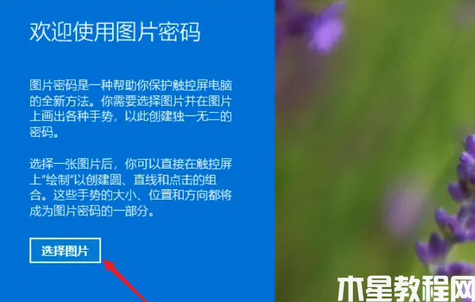 win11设置图片密码教程(图5)