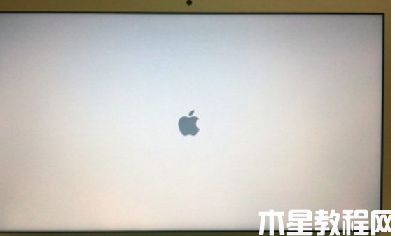 mac重装系统教程 (图13)