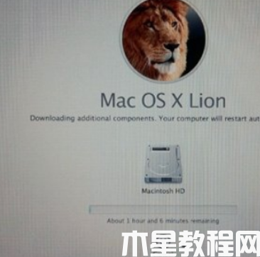 mac重装系统教程 (图12)