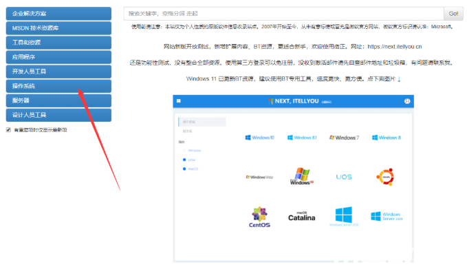 msdn官网下载win10专业版教程 (图2)