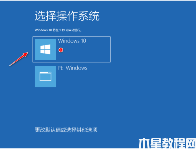 电脑重装系统win10 (图7)