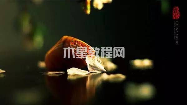 ppt背景图片设置|office办公软件入门基础教程(图5)