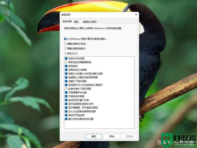 windows11动画效果怎么关闭_win11关闭特效和动画的步骤