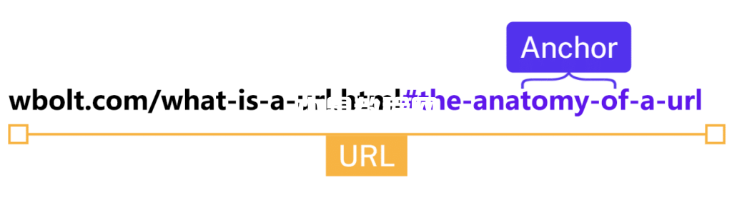 URL的“锚点”部分