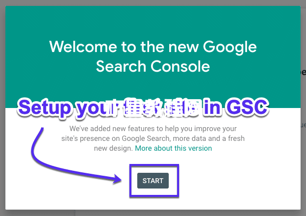 在Google Search Console中设置您的网站