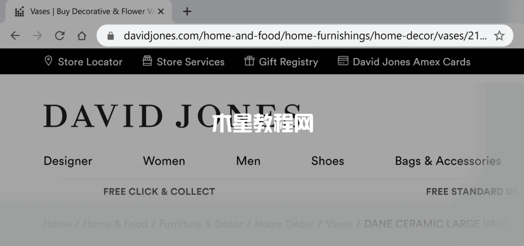 David Jones网站长url示例