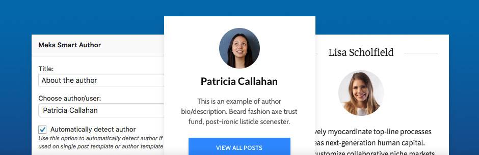 Meks Smart Author Widget