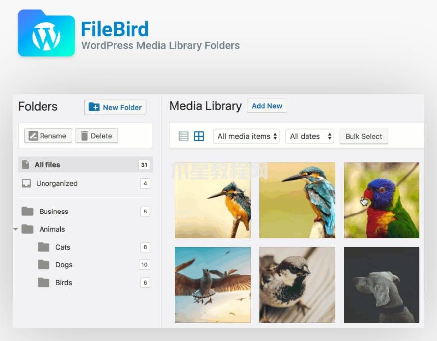 FileBird