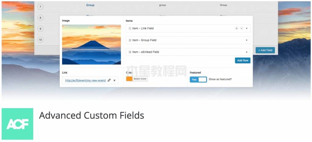 Advanced Custom Fields(ACF)