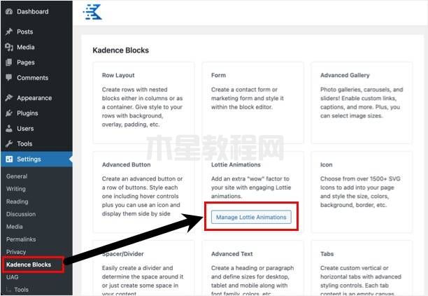 在Kadence中管理可重复使用的Lottie区块