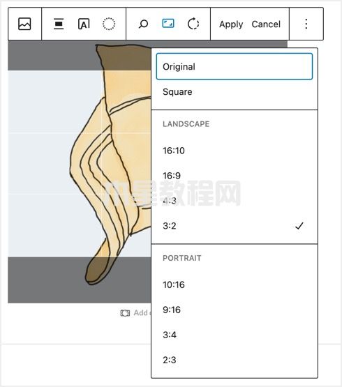 在WordPress中更改图像纵横比