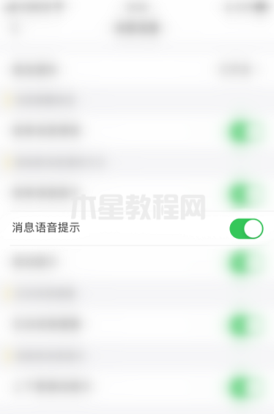 蝌蚪语音怎么启用消息语音提示-启用消息语音提示的方法-华军软件园(图3)