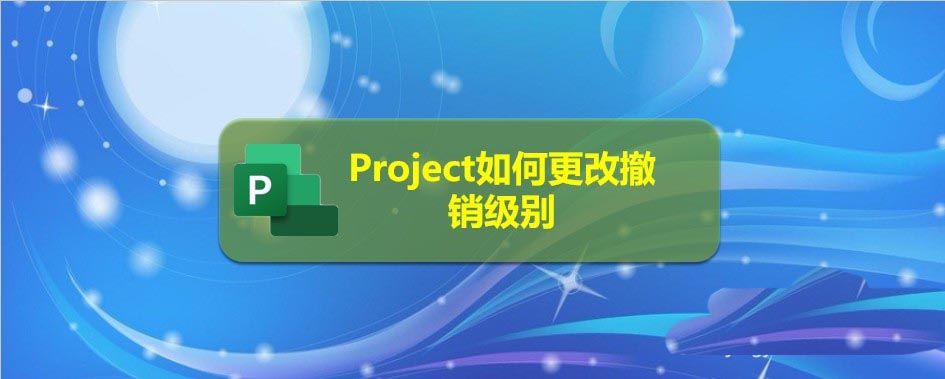 Project文件怎么更改撤销级别?(图1)