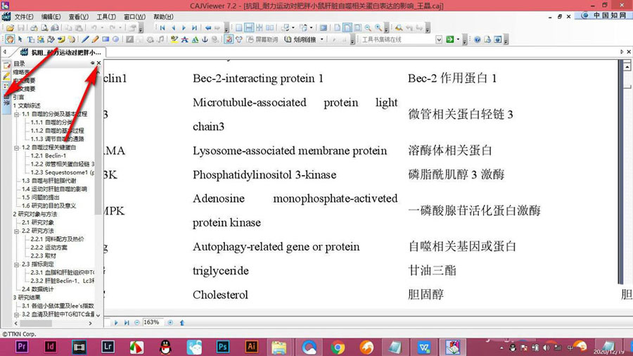 CAJViewer论文不显示目录怎么办? CAJViewer论文显示目录的技巧(图2)