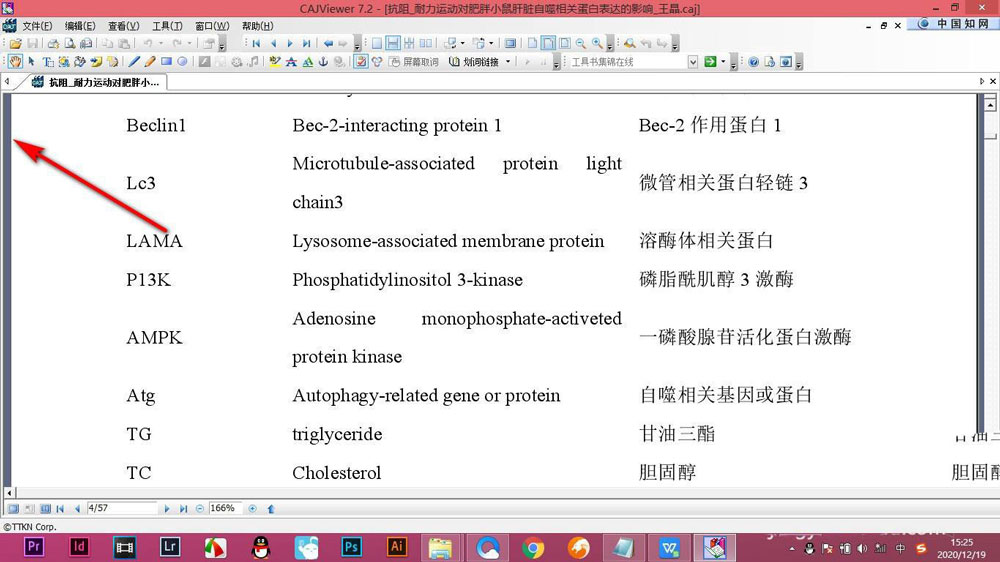 CAJViewer论文不显示目录怎么办? CAJViewer论文显示目录的技巧(图3)