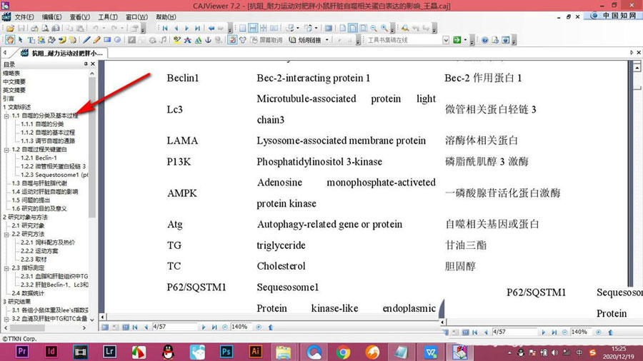 CAJViewer论文不显示目录怎么办? CAJViewer论文显示目录的技巧(图6)