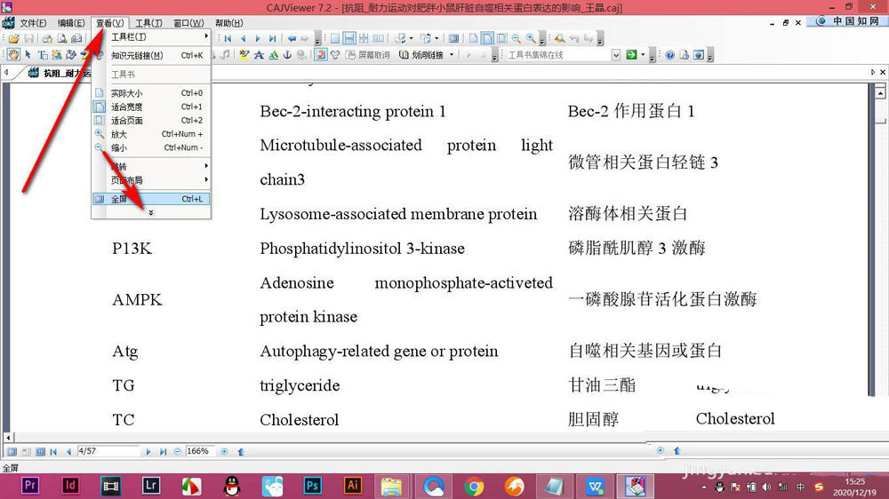 CAJViewer论文不显示目录怎么办? CAJViewer论文显示目录的技巧(图4)