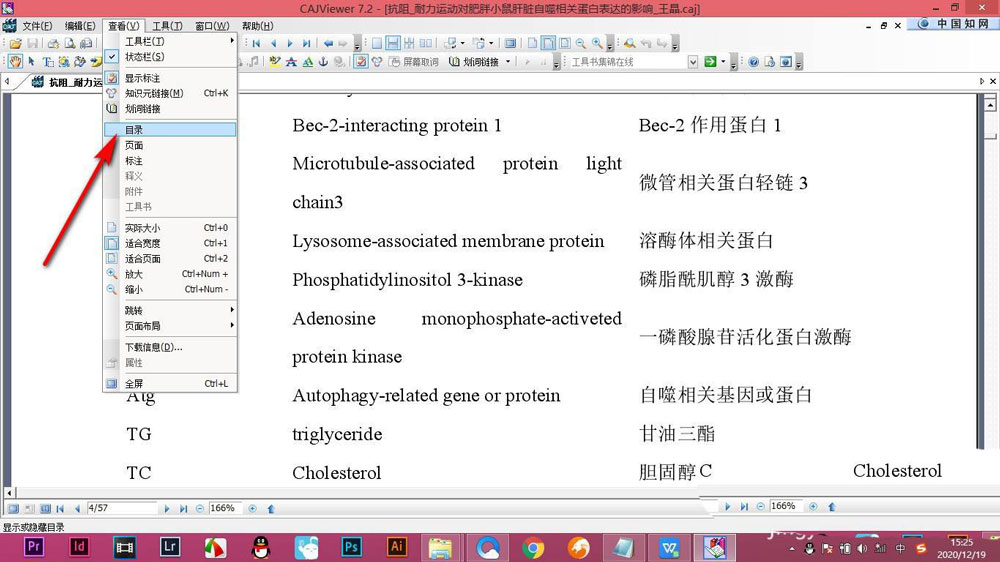 CAJViewer论文不显示目录怎么办? CAJViewer论文显示目录的技巧(图5)