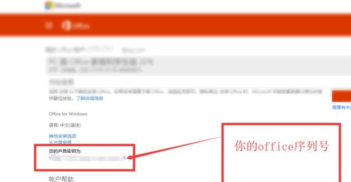 office的密钥序列号如何查找?查找自己电脑office的序列号方法(图7)