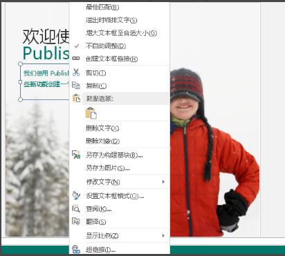 创建publisher的简要流程教程(图5)