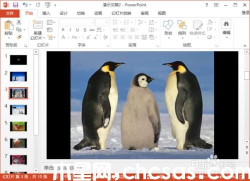 PowerPoint2013中怎么给相册添加音乐