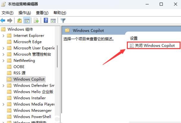 如何在Windows 11系统中完全禁用Windows Copilot功能