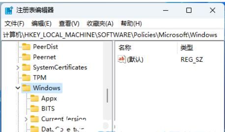 如何在Windows 11系统中完全禁用Windows Copilot功能