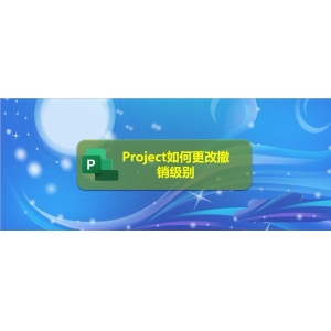 Project文件怎么更改撤销级别?