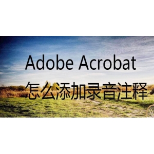 Acrobat怎么给pdf文件添加录音注释? Acrobat添加录音注释的技巧