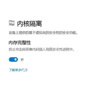 Win11内存完整性无法关闭怎么办-内存完整性无法关闭的解决方法